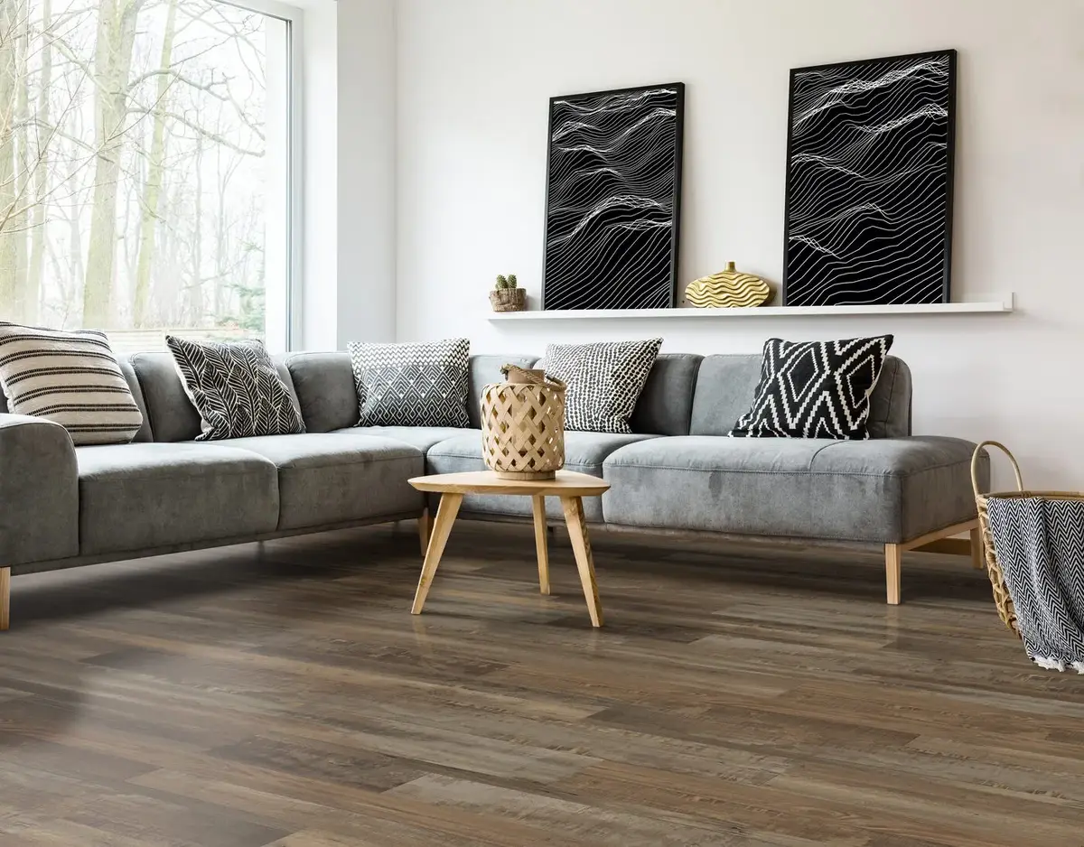 Redefined Pine view 2